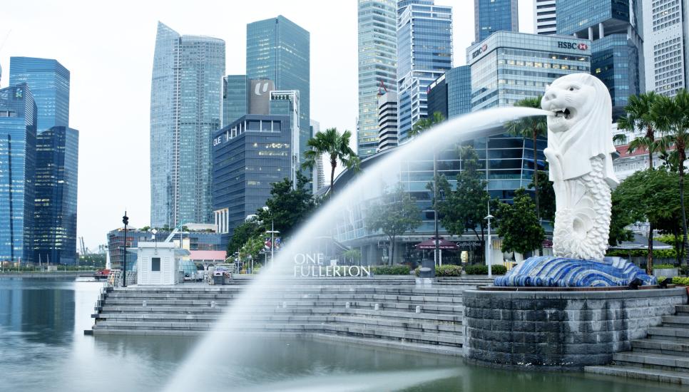 Singapore?the new home for Hong Kong families?