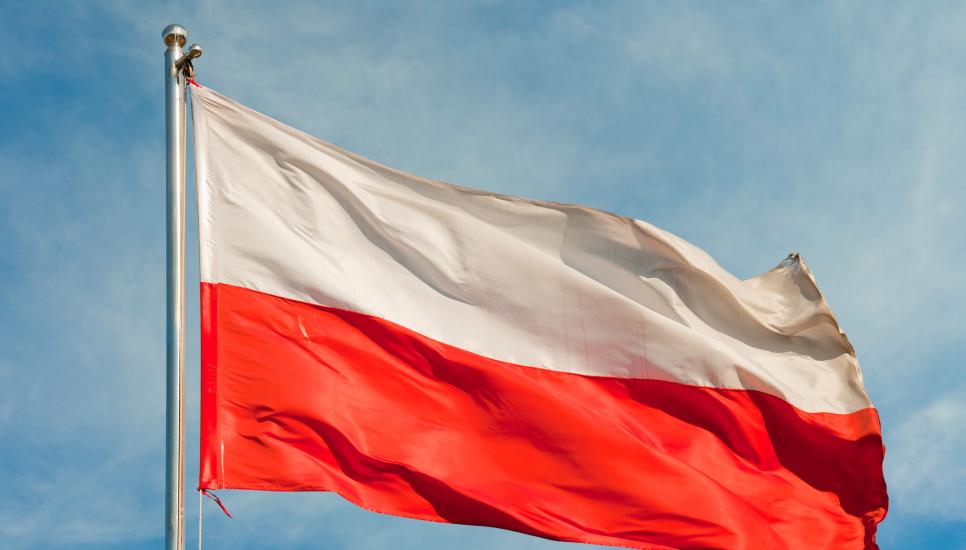 Family enterprises make up about 78% of all Polish businesses and contribute as much as 40% to its GDP.