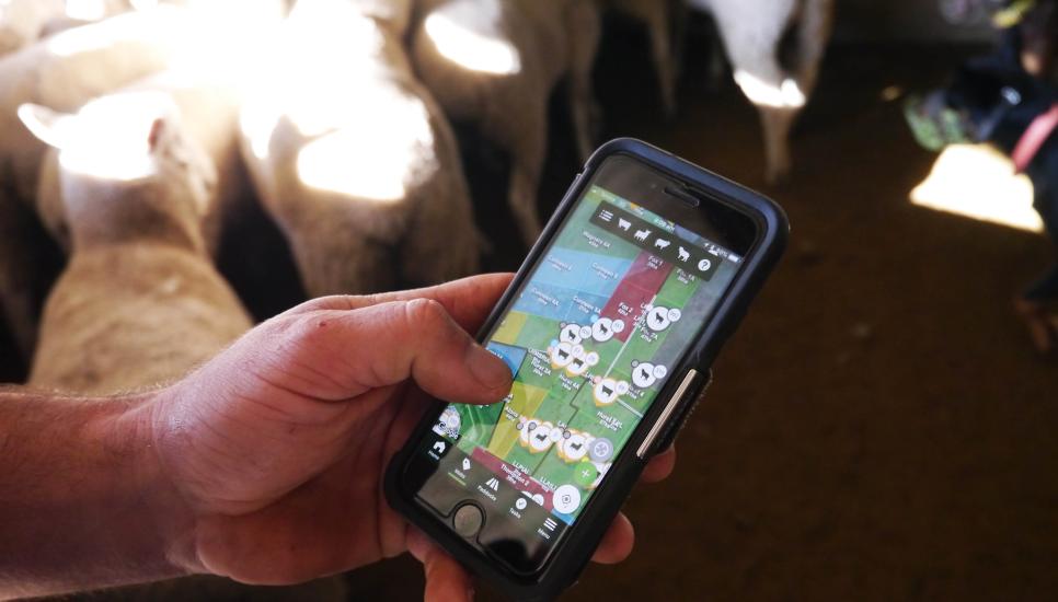 Grosvenor Group's Wheatsheaf has invested in AgTech company AgriWebb