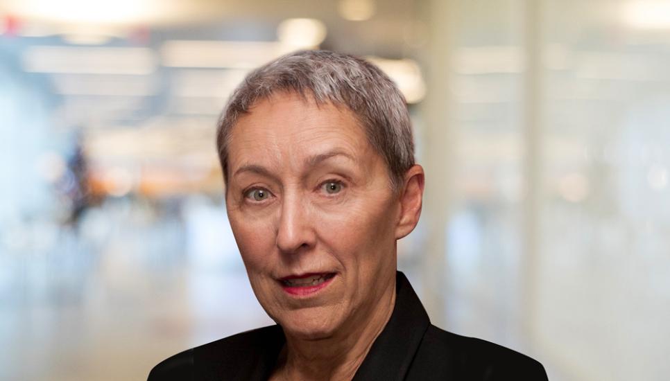 Judy Green, president of the Family Firm Institute