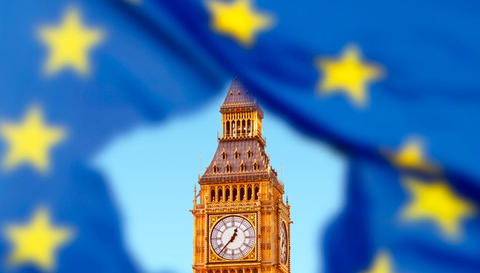 Brexit EU flag