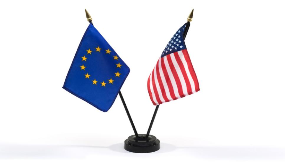 Family businesses in the US and Europe face different challenges, says expert