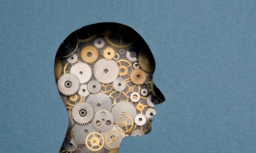 Due diligence is everything