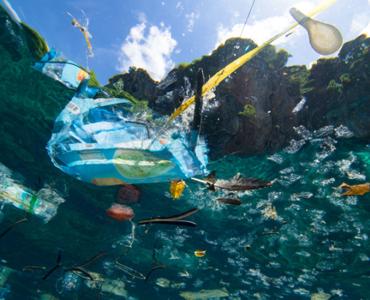 8 million tons of plastic, the equivalent of 2,000 garbage trucks full of plastic, continue to pollute the earth’s oceans every year